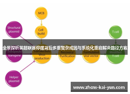 全景探析英超联赛停摆背后多重复杂成因与系统化重启解决路径方案 全景探析英超联赛停摆背后多重复杂成因与系统化重启解决路径方案
