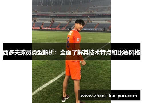 西多夫球员类型解析：全面了解其技术特点和比赛风格