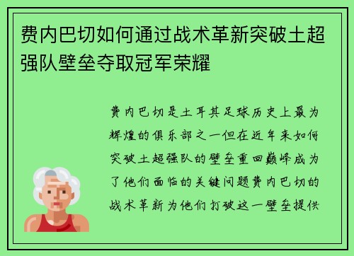 费内巴切如何通过战术革新突破土超强队壁垒夺取冠军荣耀