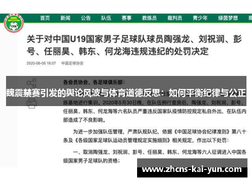 魏震禁赛引发的舆论风波与体育道德反思：如何平衡纪律与公正