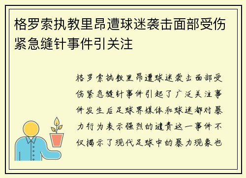 格罗索执教里昂遭球迷袭击面部受伤紧急缝针事件引关注