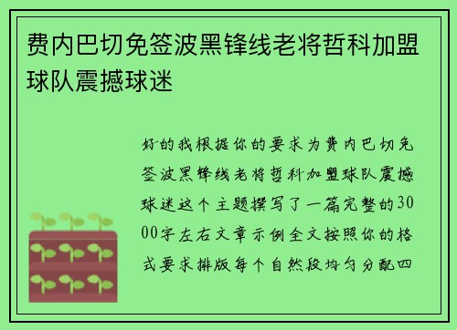 费内巴切免签波黑锋线老将哲科加盟球队震撼球迷 费内巴切免签波黑锋线老将哲科加盟球队震撼球迷